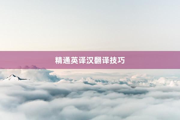 精通英译汉翻译技巧